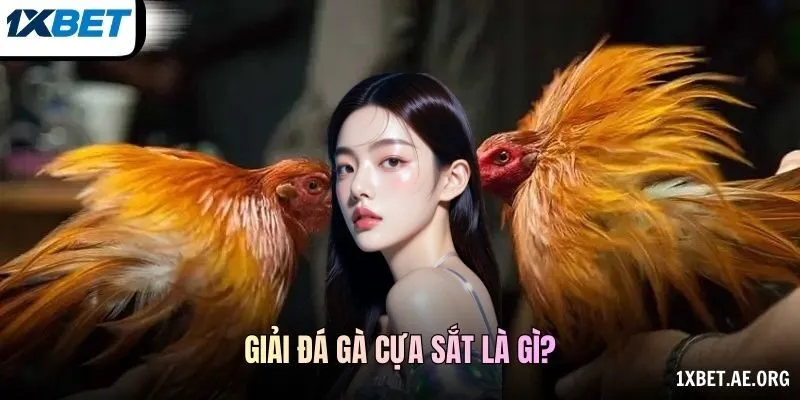 Giải đá gà cựa sắt là gì?