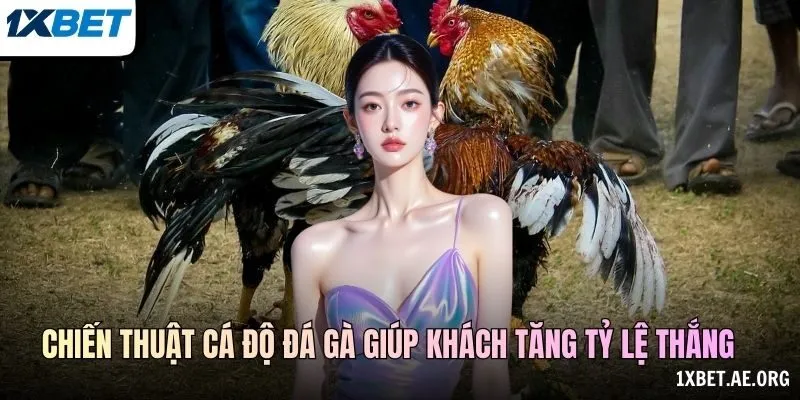 Chiến thuật cá độ đá gà giúp khách tăng tỷ lệ thắng
