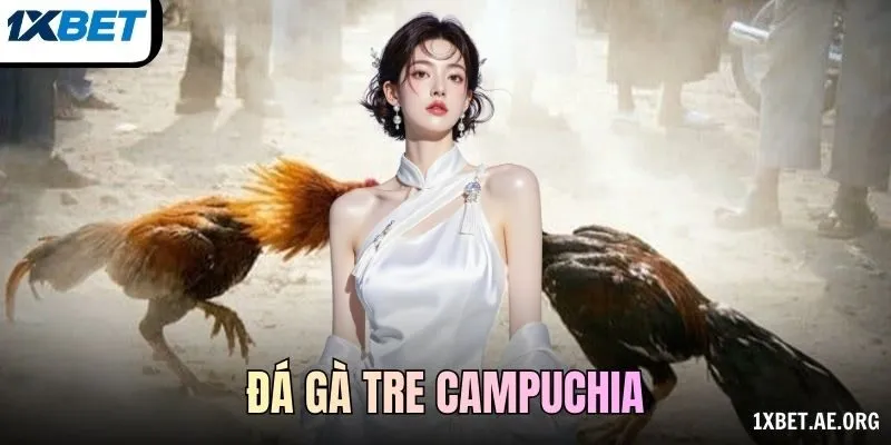 đá gà tre Campuchia
